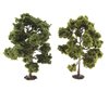 2 Leaf trees, ca. 11 cm (Jordan 5B)